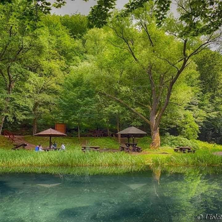 Apartmani Grza 패레신 외부 사진
