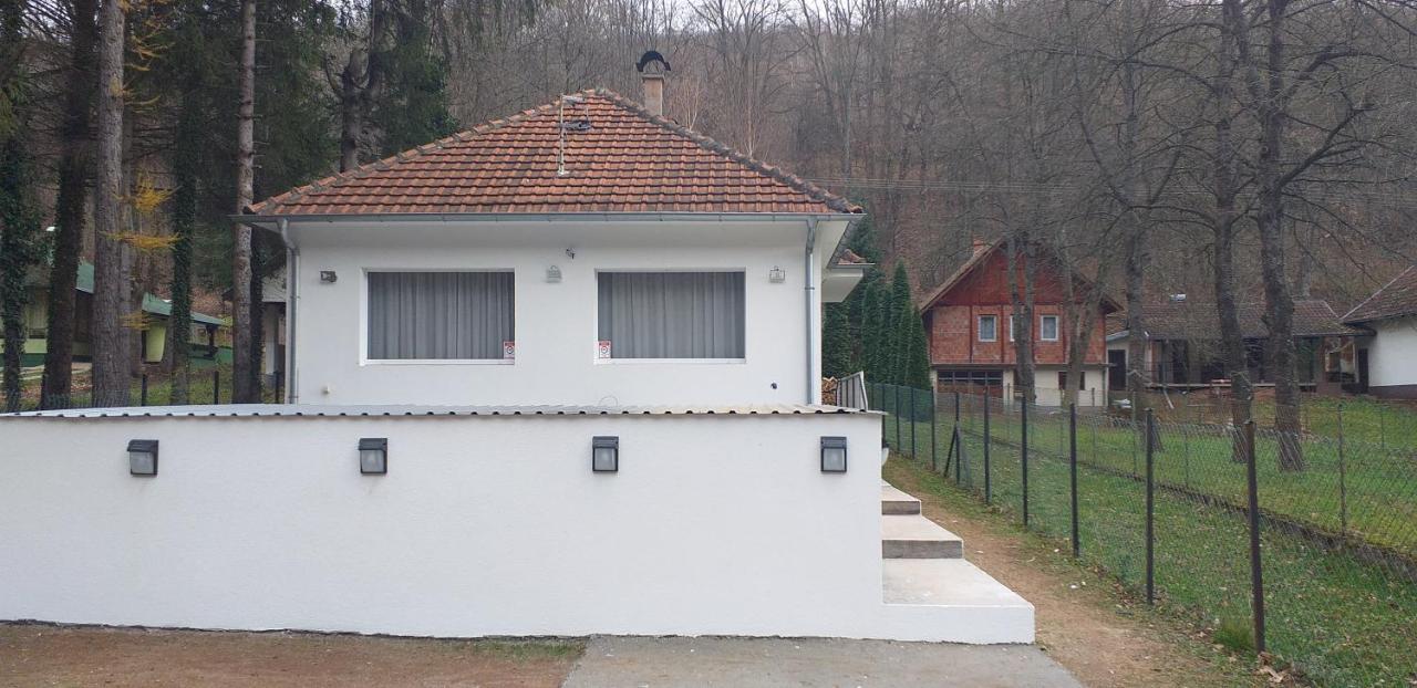 Apartmani Grza 패레신 외부 사진