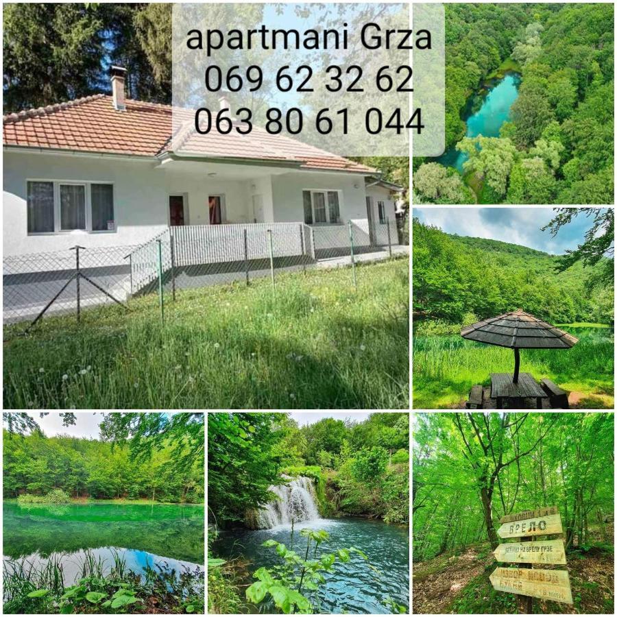 Apartmani Grza 패레신 외부 사진
