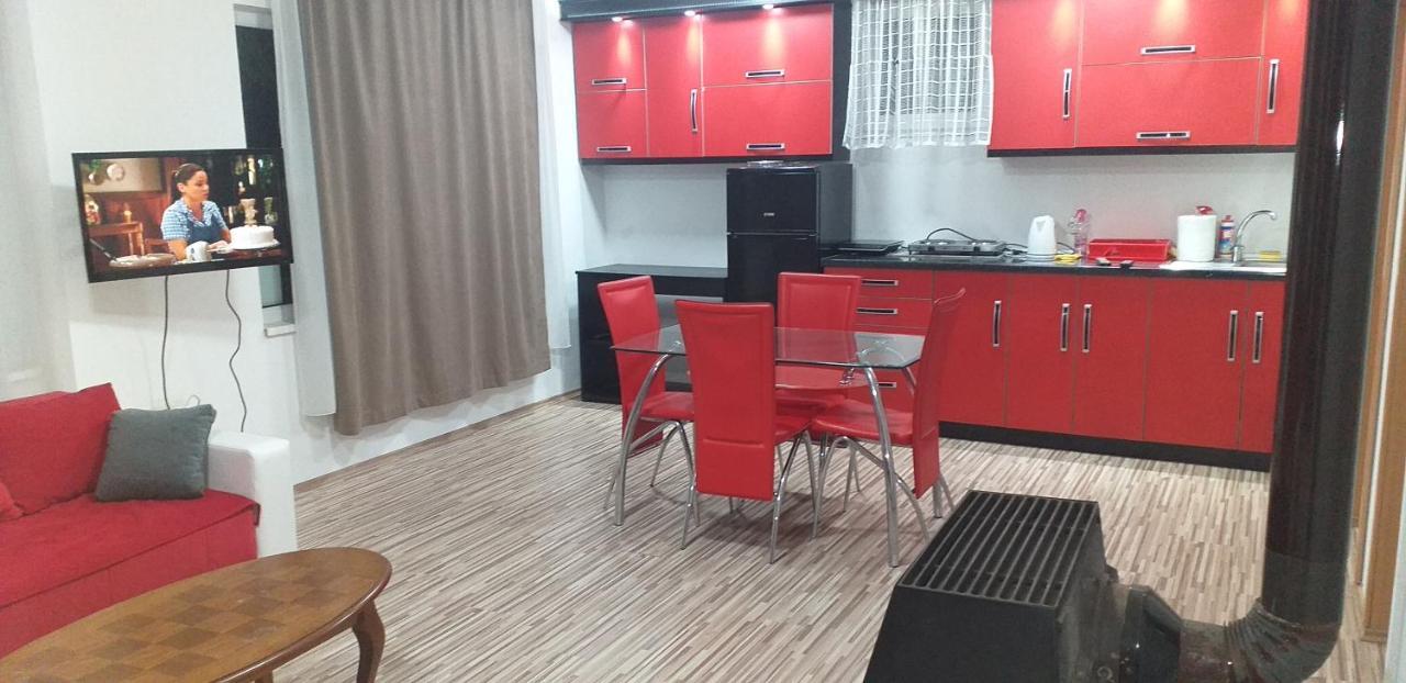 Apartmani Grza 패레신 외부 사진