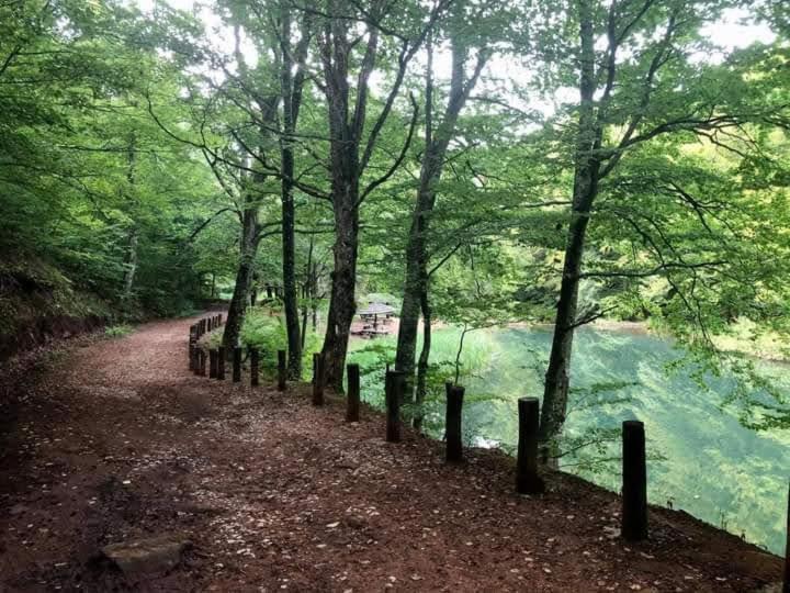 Apartmani Grza 패레신 외부 사진