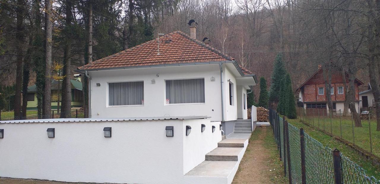 Apartmani Grza 패레신 외부 사진