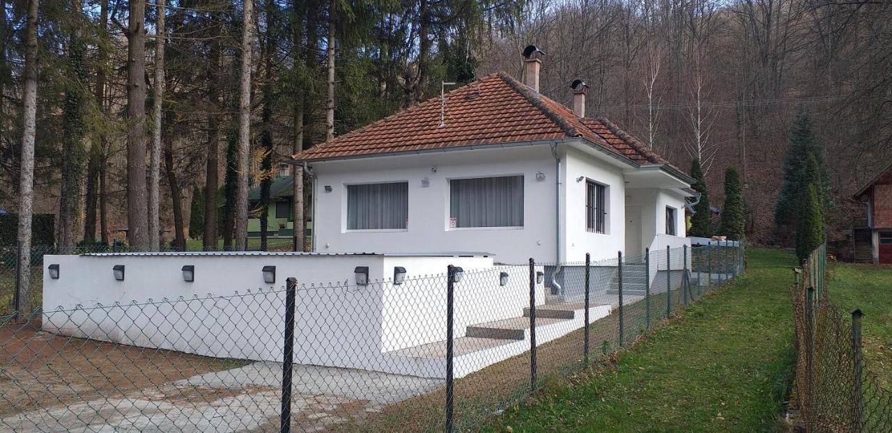 Apartmani Grza 패레신 외부 사진