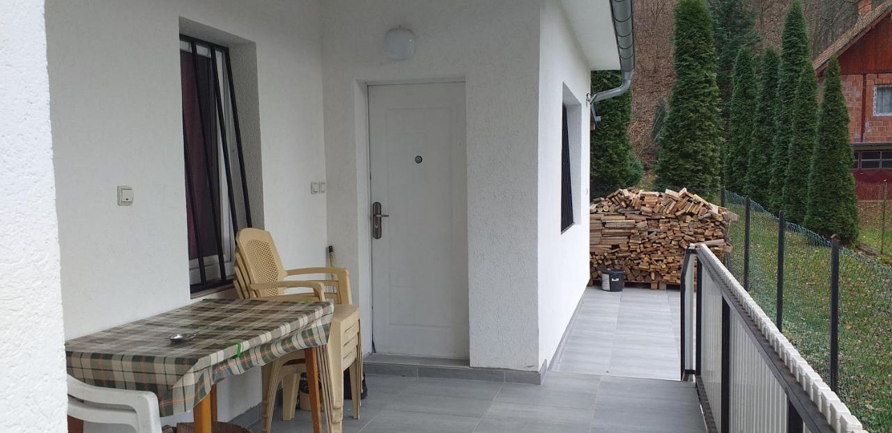 Apartmani Grza 패레신 외부 사진