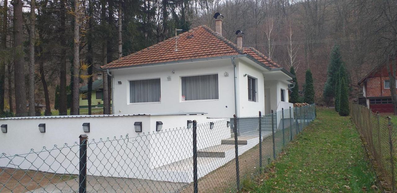 Apartmani Grza 패레신 외부 사진
