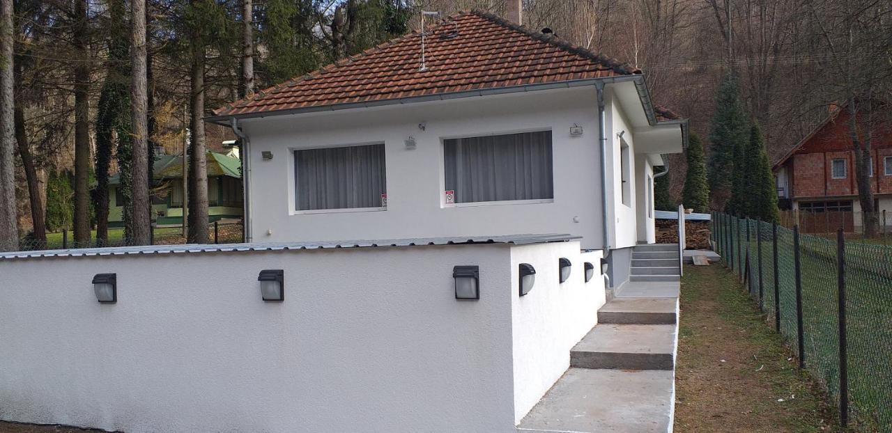 Apartmani Grza 패레신 외부 사진