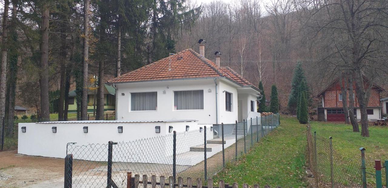 Apartmani Grza 패레신 외부 사진